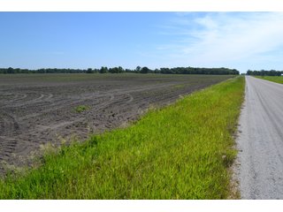 <b>PRICE REDUCED: $5,900 per acre</b><br>
This property offers productive tillable land along with two wooded areas.  Much of the larger woods near the road is on a ridge.  Investigate this area for a potential beautiful homesite as well as for hunting and recreational opportunities. <br>
<b>156.9+/- </b>Total Acres | <b>145.83+/-</b> Tillable Cropland Acres per FSA | <b>10+/-</b> Wooded Acres - 156.9+/- Acres For Sale - Cropland, Woods for Hunting/Recreational & Potential Building Sites